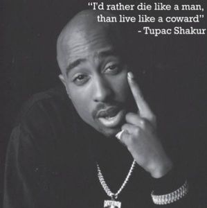 Meet your Posher, Antonia